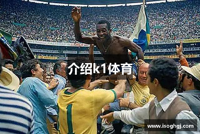 介绍k1体育